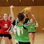 2016_01_16 Landesliga Jugend 19